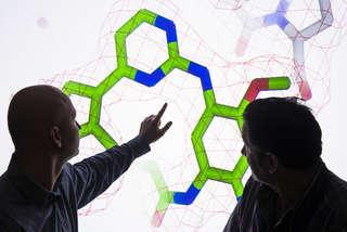 英国科学家正在讨论<a href='http://qoms.sceduc.net'>澳门第一赌城在线娱乐</a>开发的一种化合物